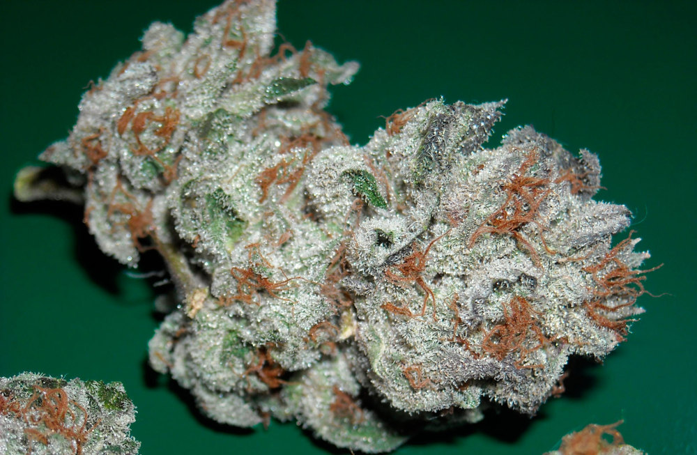 PeeWee Longway - OG Gas - Tekst piosenki, lyrics - teksciki.pl