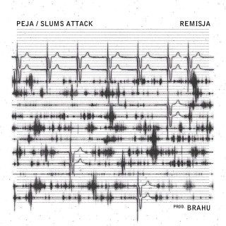 Peja - 1976 - Tekst piosenki, lyrics - teksciki.pl