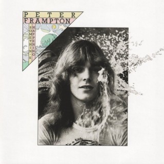 Peter Frampton - Golden Goose - Tekst piosenki, lyrics - teksciki.pl