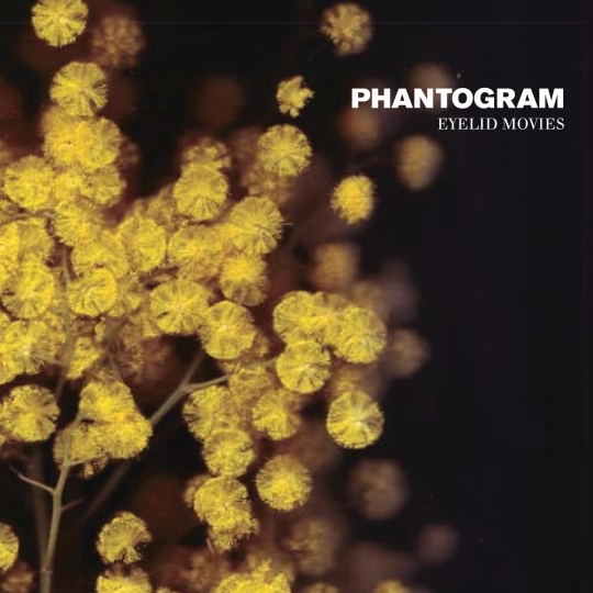Phantogram - 10,000 Claps - Tekst piosenki, lyrics - teksciki.pl