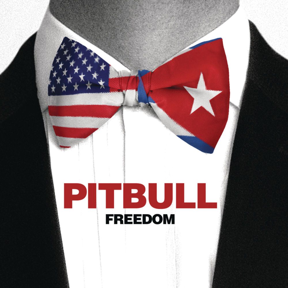 Pitbull - Freedom - Tekst piosenki, lyrics - teksciki.pl