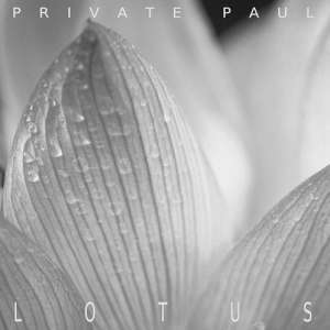 Private Paul (KASH) - Lotus - Tekst piosenki, lyrics - teksciki.pl