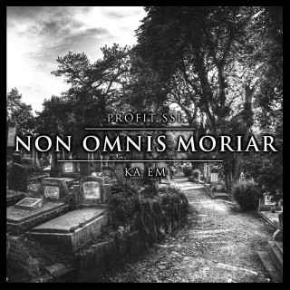 Profit SSL - Non omnis moriar - Tekst piosenki, lyrics - teksciki.pl