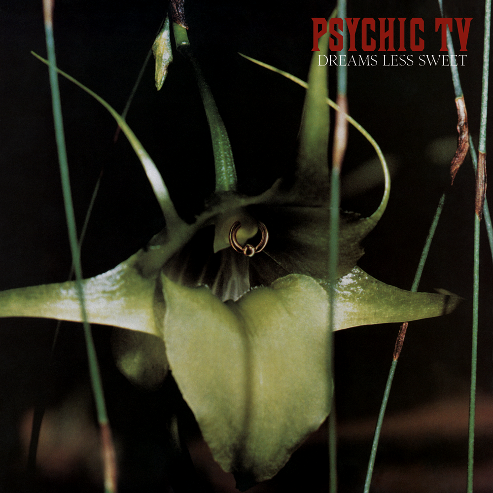 Psychic TV - Always is Always - Tekst piosenki, lyrics - teksciki.pl