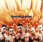 Rammstein - Heirate Mich - Tekst piosenki, lyrics - teksciki.pl