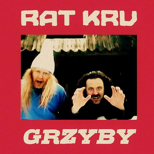 RAT KRU - RAT KRU feat. Mery Spolsky - GRZYBY - Tekst piosenki, lyrics - teksciki.pl