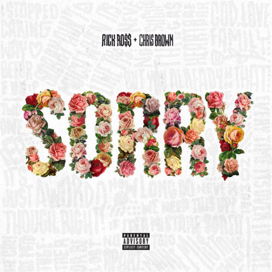 Rick Ross - Sorry - Tekst piosenki, lyrics - teksciki.pl