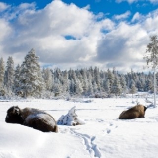 Rod Stewart - Mandolin Wind - Tekst piosenki, lyrics - teksciki.pl