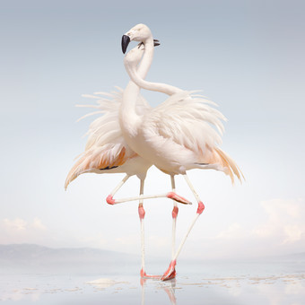 Rustie - Raptor - Tekst piosenki, lyrics - teksciki.pl