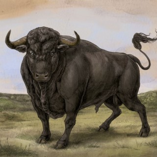 San Fermin - The Count - Tekst piosenki, lyrics - teksciki.pl