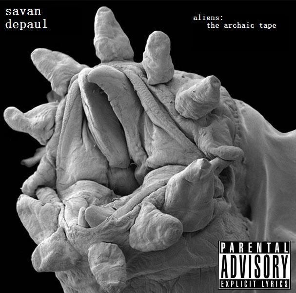 Savan DePaul - S.A.V.A.N. - Tekst piosenki, lyrics - teksciki.pl