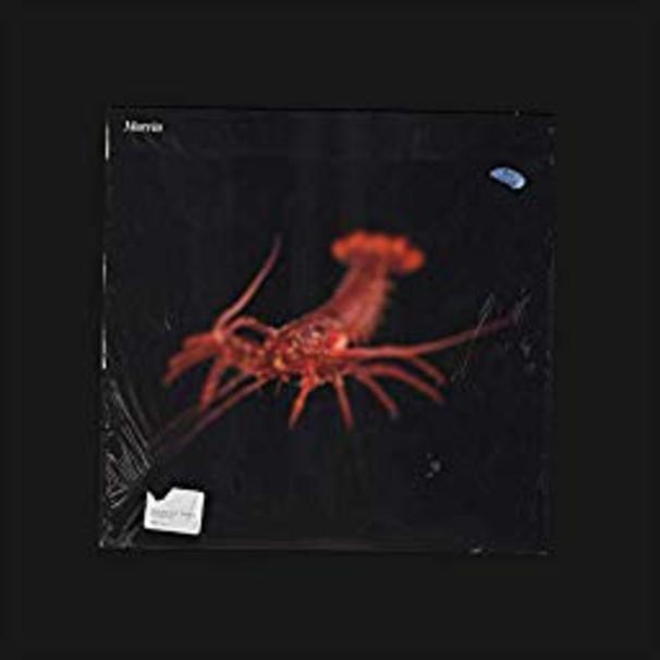 schafter - Marvin - Tekst piosenki, lyrics - teksciki.pl