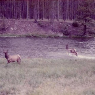 Seahaven - Bottled - Tekst piosenki, lyrics - teksciki.pl