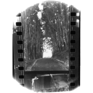 Seahaven - Goodnight - Tekst piosenki, lyrics - teksciki.pl