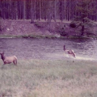 Seahaven - Love - Tekst piosenki, lyrics - teksciki.pl