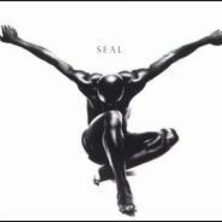 Seal - If I Could - Tekst piosenki, lyrics - teksciki.pl