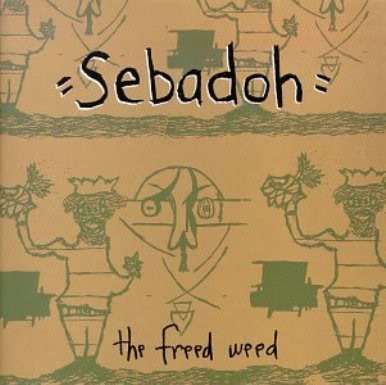 Sebadoh - Pound My Skinny Head - Tekst piosenki, lyrics - teksciki.pl