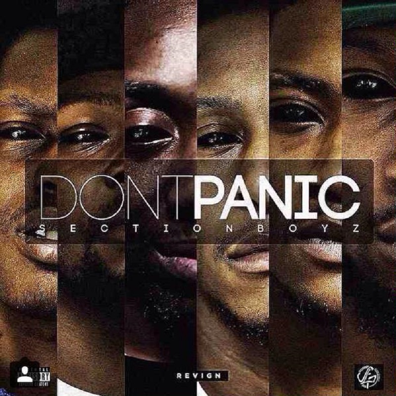 Section Boyz - Don't Like That - Tekst piosenki, lyrics - teksciki.pl