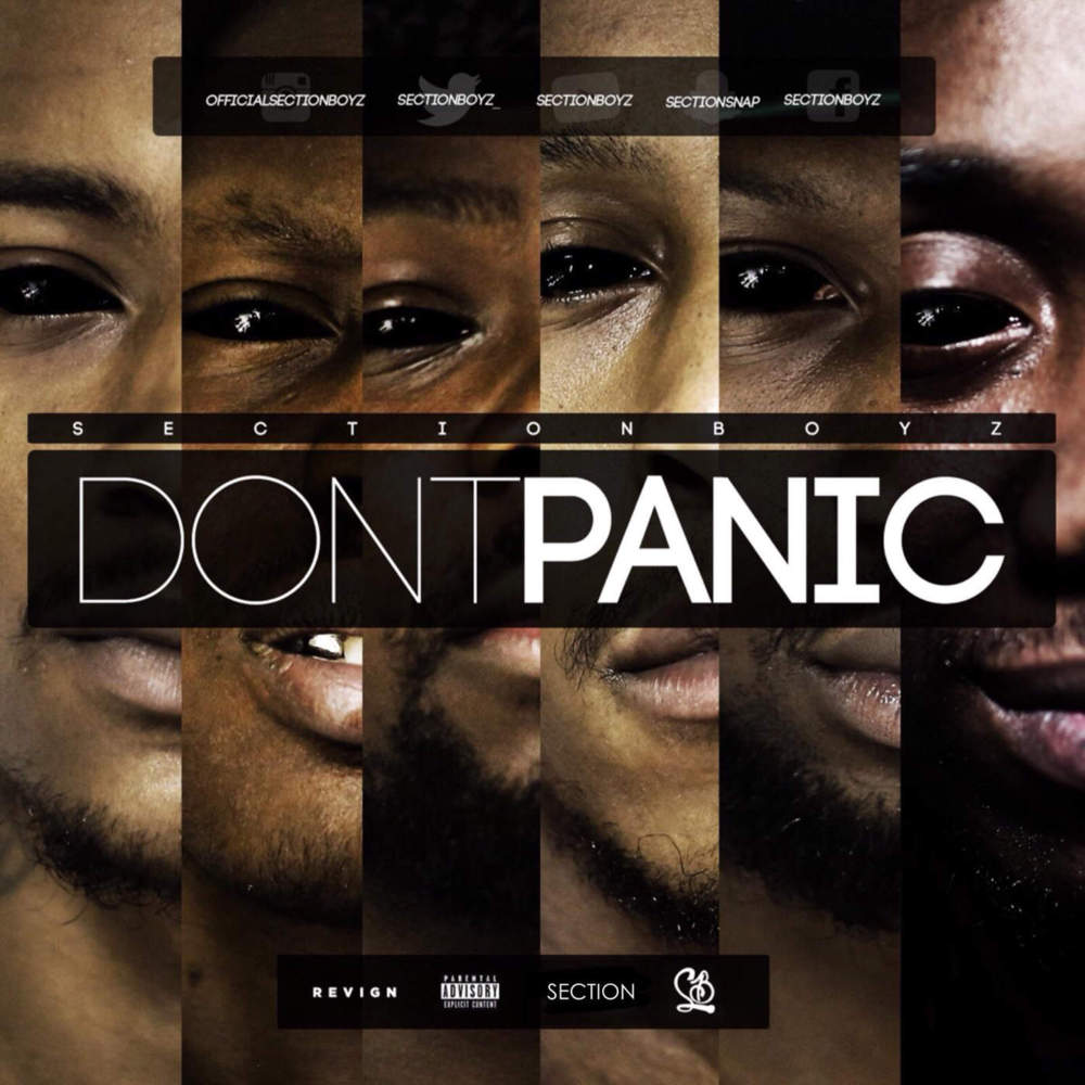 Section Boyz - Trapping Ain't Dead (Remix) - Tekst piosenki, lyrics - teksciki.pl