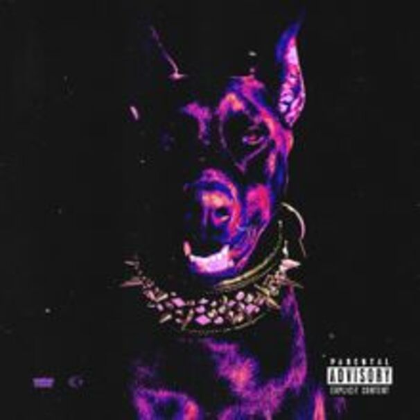 SEEMEE - Голодный пёс (Hungry Dog) - Tekst piosenki, lyrics - teksciki.pl