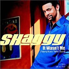 Shaggy - It Wasn't Me - Tekst piosenki, lyrics - teksciki.pl