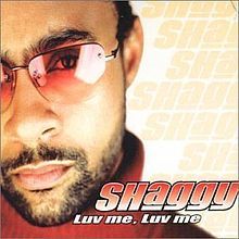 Shaggy - Luv Me, Luv Me (2001 Version) - Tekst piosenki, lyrics - teksciki.pl