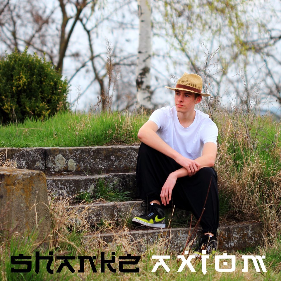 Shankz - Axiom - Tekst piosenki, lyrics - teksciki.pl