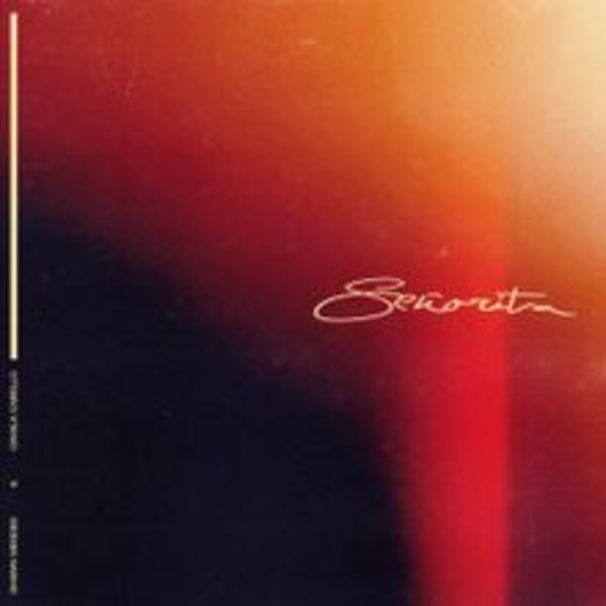 Shawn Mendes - Shawn Mendes feat. Camila Cabello - Señorita - Tekst piosenki, lyrics - teksciki.pl