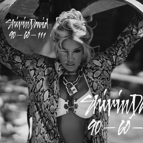 Shirin David - 90-60-111 - Tekst piosenki, lyrics - teksciki.pl