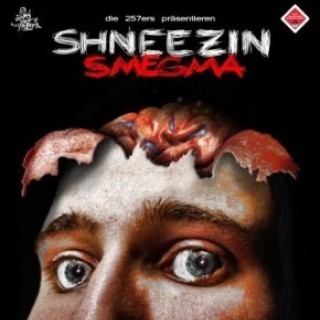 Shneezin 257 - Meine Welt - Tekst piosenki, lyrics - teksciki.pl