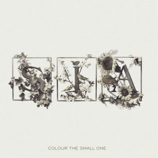 Sia - Natale's Song - Tekst piosenki, lyrics - teksciki.pl