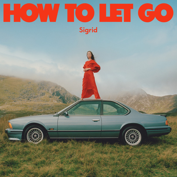 Sigrid - A Driver Saved My Night - Tekst piosenki, lyrics - teksciki.pl