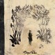 Sigur Rós - Gong - Tekst piosenki, lyrics - teksciki.pl