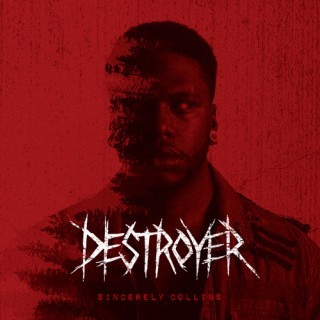 Sincerely Collins - Destroyer - Tekst piosenki, lyrics - teksciki.pl