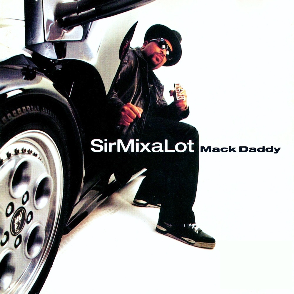 Sir Mix-a-Lot - A Rapper's Reputation - Tekst piosenki, lyrics - teksciki.pl