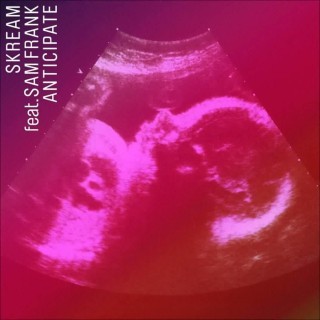 Skream - Anticipate - Tekst piosenki, lyrics - teksciki.pl