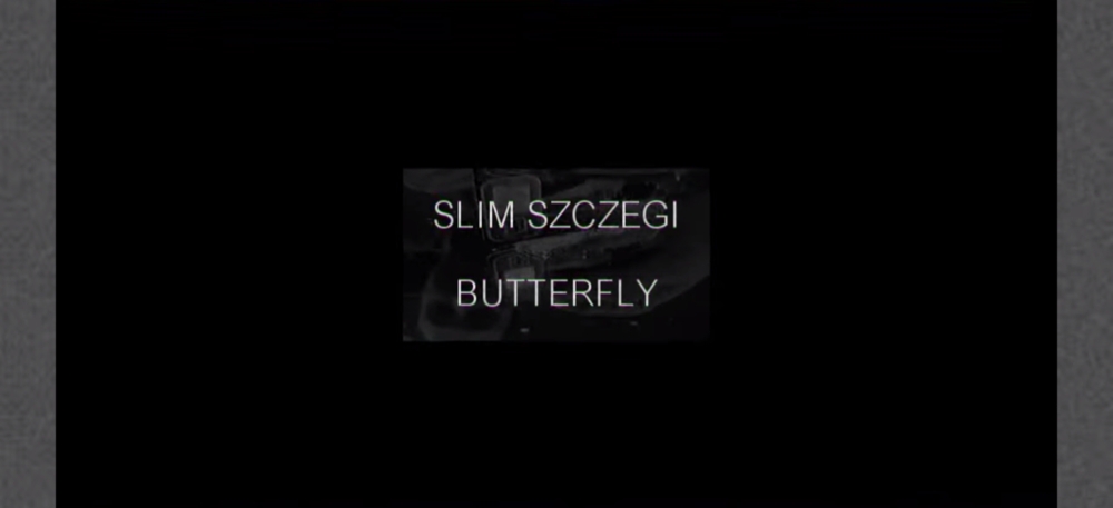 Slim Szczegi - Butterfly - Tekst piosenki, lyrics - teksciki.pl
