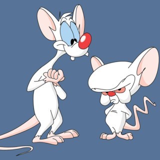 Slowy - Pinky & Brain - Tekst piosenki, lyrics - teksciki.pl