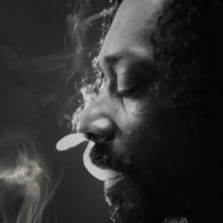Snoop Lion - Stoner's - Tekst piosenki, lyrics - teksciki.pl