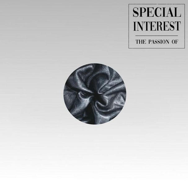 Special Interest - Passion - Tekst piosenki, lyrics - teksciki.pl