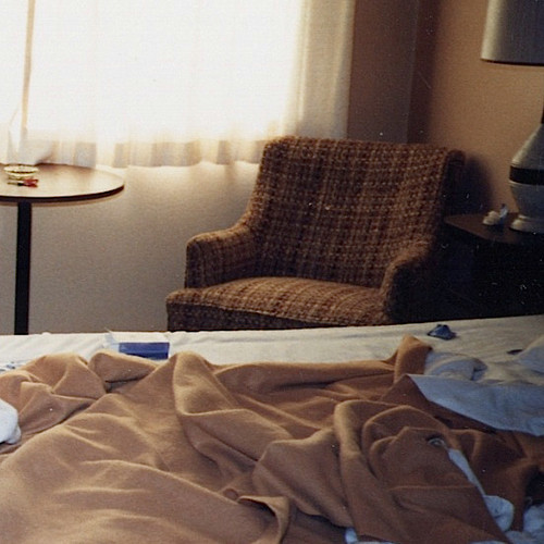 Surrenderdorothy - Thefeelingismutual - Tekst piosenki, lyrics - teksciki.pl