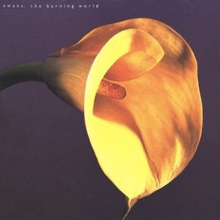 Swans - God Damn the Sun - Tekst piosenki, lyrics - teksciki.pl