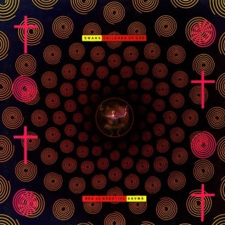Swans - Sex, God, Sex - Tekst piosenki, lyrics - teksciki.pl