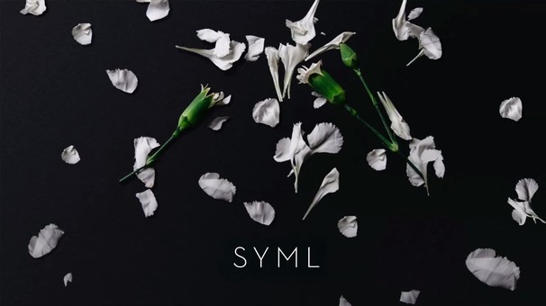 SYML - Meant to Stay Hid - Tekst piosenki, lyrics - teksciki.pl