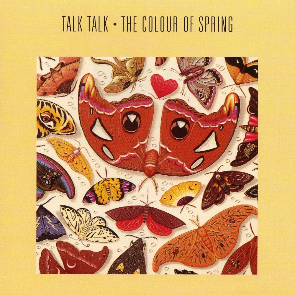 Talk Talk - Chameleon Day - Tekst piosenki, lyrics - teksciki.pl