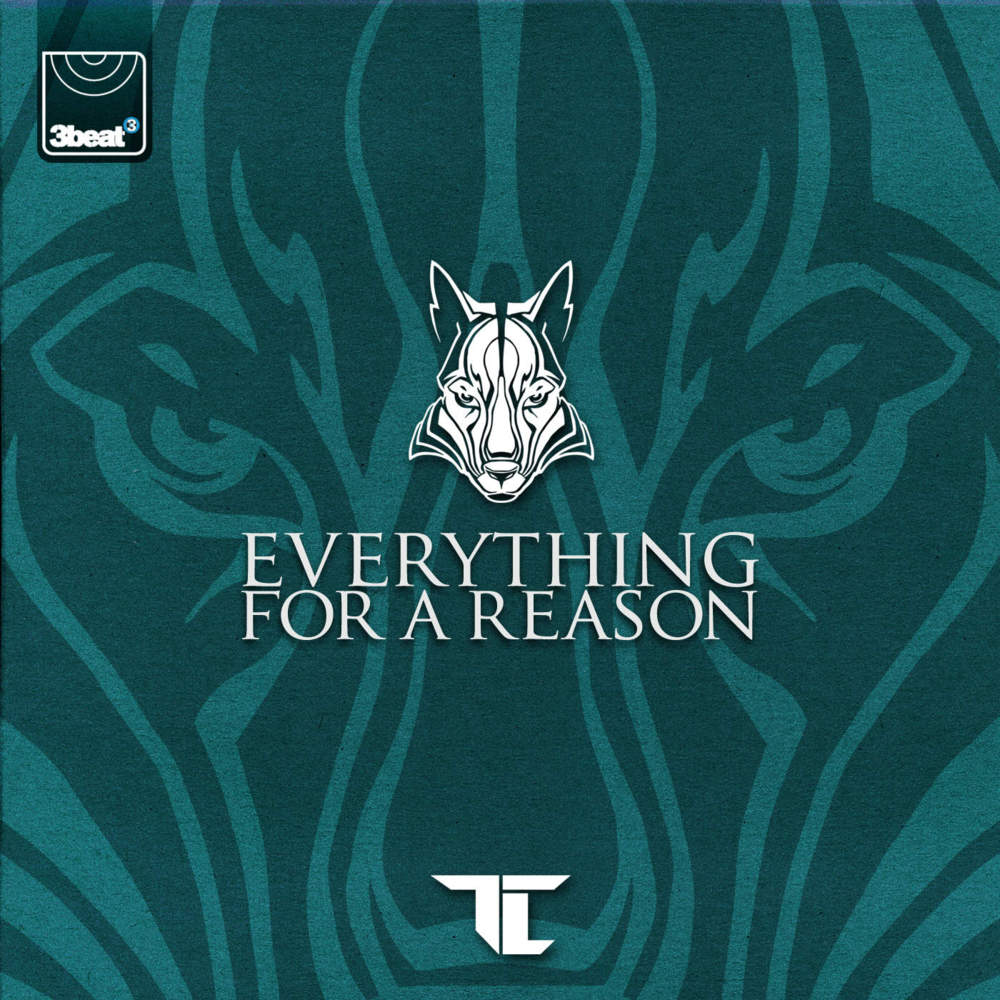 TC (UK) - Everything For A Reason - Tekst piosenki, lyrics - teksciki.pl