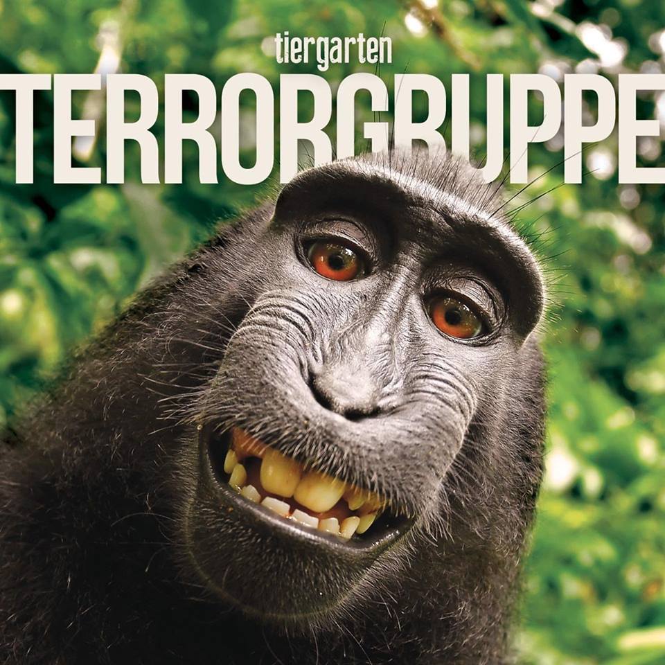 Terrorgruppe - Blaupause einer Urlaubspostkarte - Tekst piosenki, lyrics - teksciki.pl