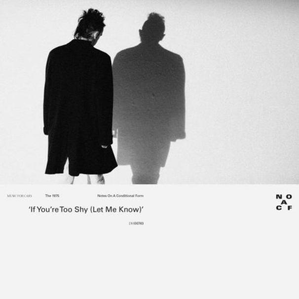 The 1975 - If You’re Too Shy (Let Me Know) - Tekst piosenki, lyrics - teksciki.pl