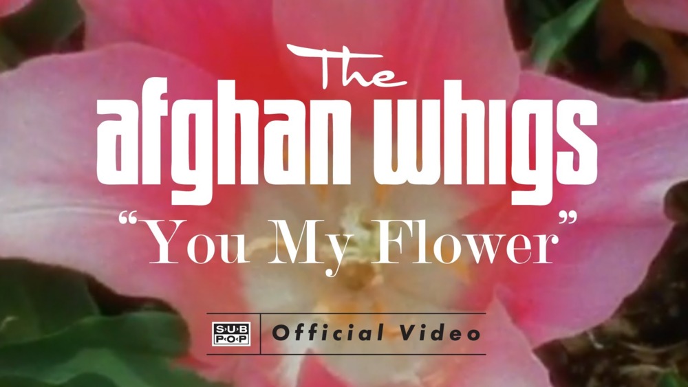 The Afghan Whigs - You My Flower - Tekst piosenki, lyrics - teksciki.pl