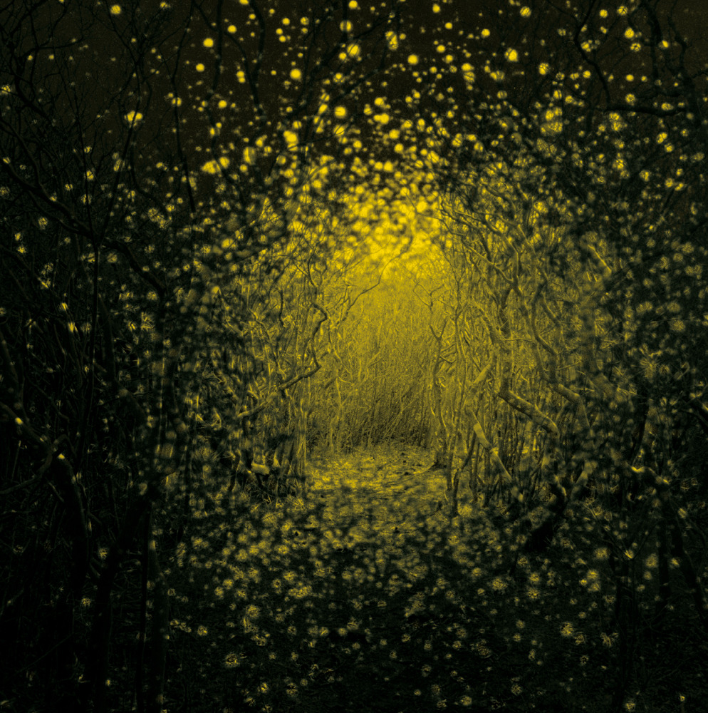 The Antlers - I Don't Want Love - Tekst piosenki, lyrics - teksciki.pl